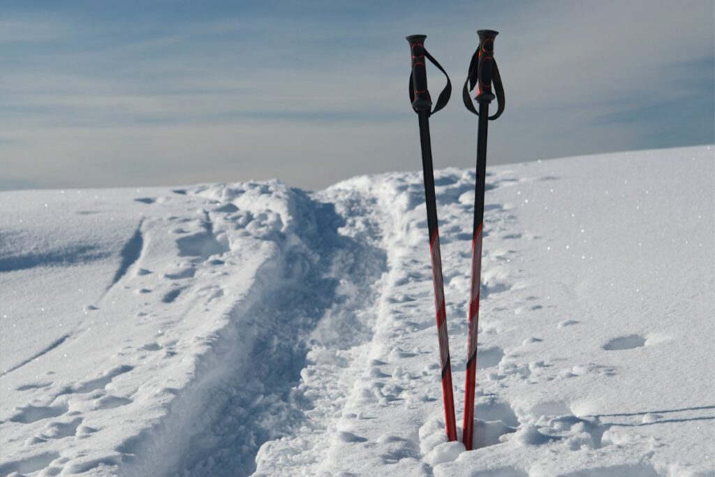 How Tall Should Ski Poles Be