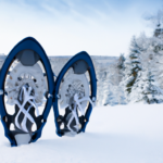 when-to-use-snowshoes