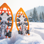 where-to-buy-snowshoes