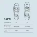 retrospec-drifter-plus-2325-inch-backcountry-show-shoes-review